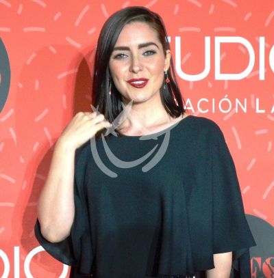 Ariadne Díaz cuenta el drama de su última telenovela