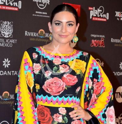 Ana Brenda Contreras le dice adiós a proyecto en Colombia