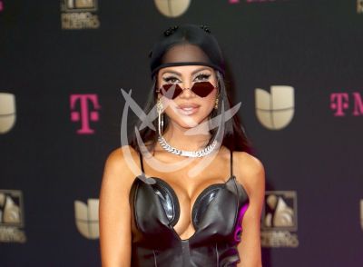 Fans de Natti Natasha la ayudan a elegir el nombre de su bebé