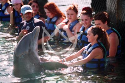 Anahí y su delfín