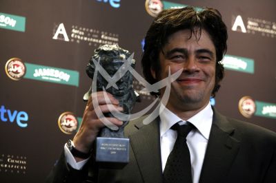 Premios Goya 2009