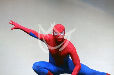 El Hombre Araña en Mx