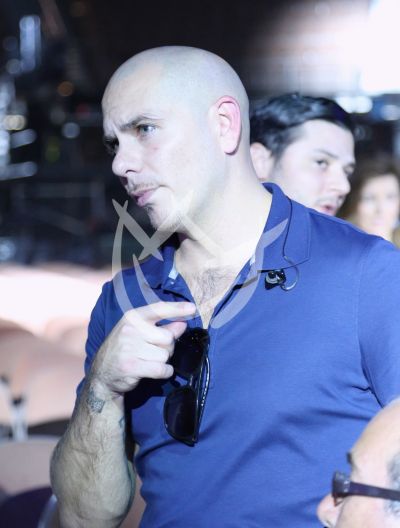 Los ojos de Pitbull