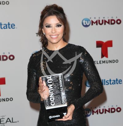 Premios Tu Mundo 2013: Ganadores
