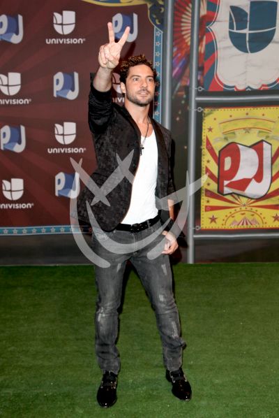 David Bisbal en PJ