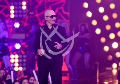 Pitbull es Banda