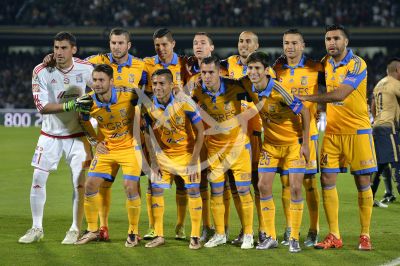 Tigres por la copa