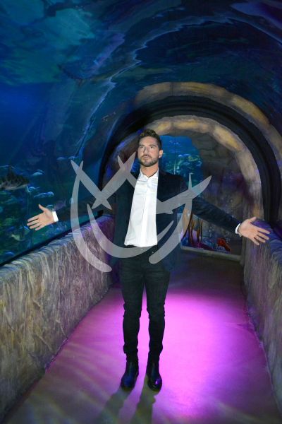 Bisbal en el acuario