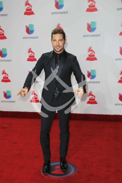 David en Latin Grammy