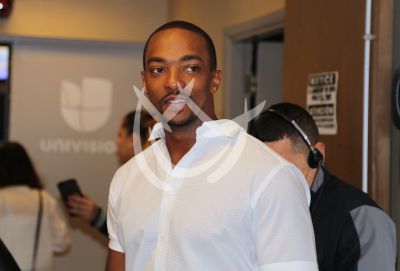 Anthony Mackie es The Falcon