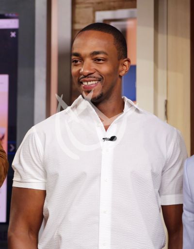 Anthony Mackie es The Falcon