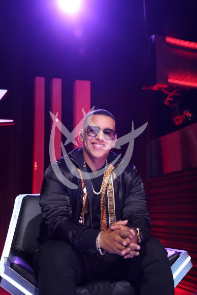 Daddy Yankee en Reina de la Canción