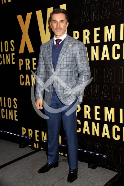 Sergio Mayer en los Premios Canacine