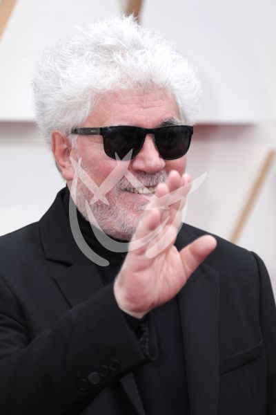 Pedro Almodovar en Oscars 2020