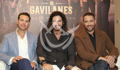 El Gato, Cimarro y Michel son Gavilanes