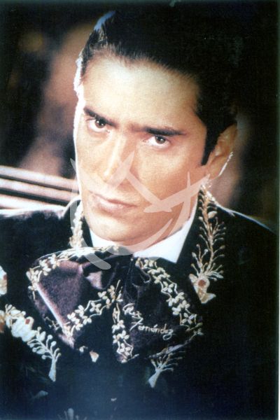 Alejandro Fernández, 1995