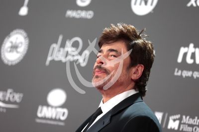 Benicio del Toro en los Platino