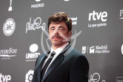 Benicio del Toro en los Platino