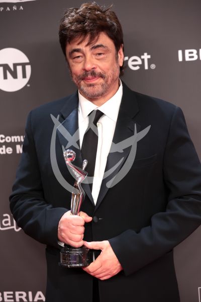 Benicio del Toro con Platino