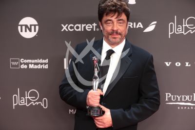 Benicio del Toro con Platino