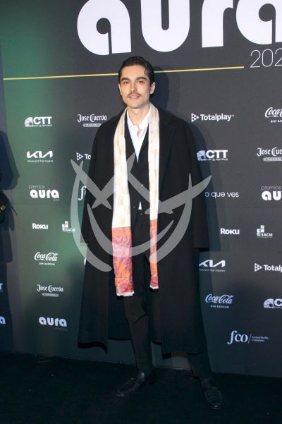 Sergio Mayer Mori en Premios Aura
