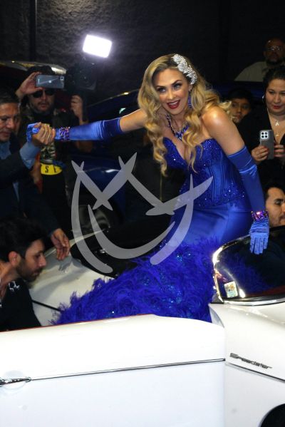 Aracely Arámbula con Gardenia