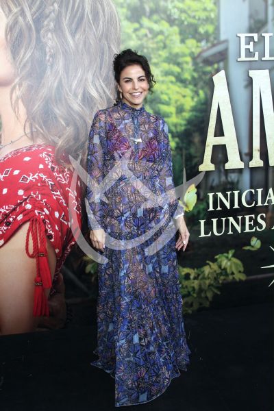 Alejandra Ambrosi en El Precio De Amarte