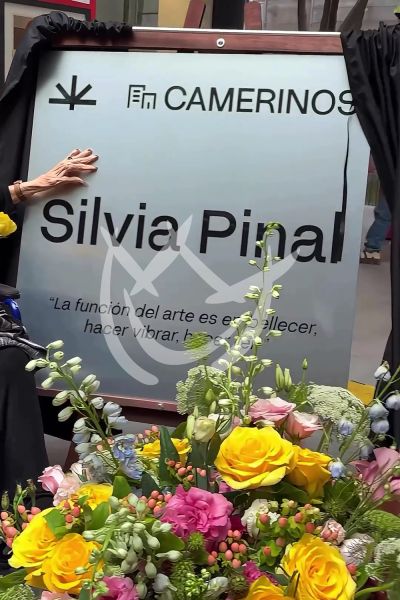 Silvia Pinal recibe homenaje