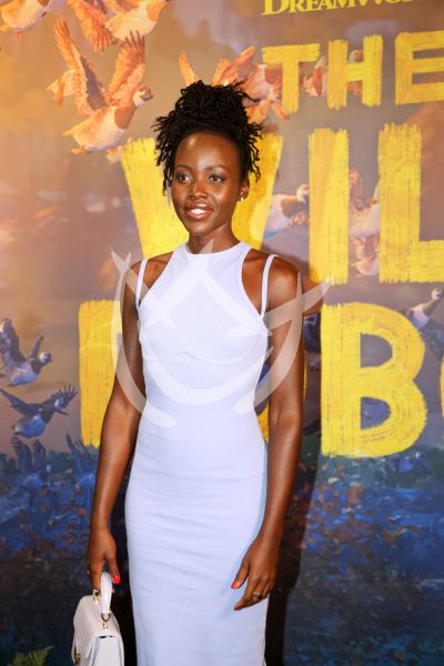 Lupita Nyong’o es un Wild Robot