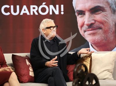 Alfonso Cuarón es Disclaimer en Despierta América