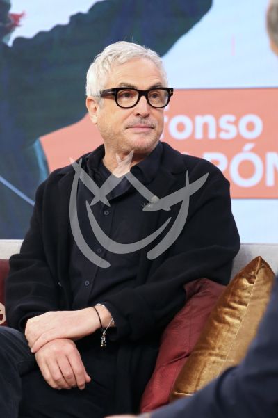 Alfonso Cuarón es Disclaimer en Despierta América