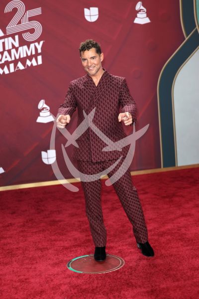 David Bisbal en Latin Grammy