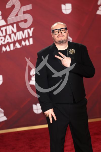 Karol G, Sanz, Juan Luis y más en Latin Grammy