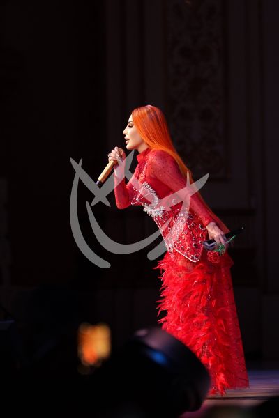 Ivy Queen en Carnegie Hall