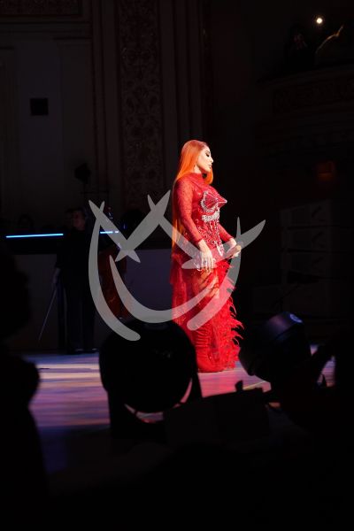 Ivy Queen en Carnegie Hall