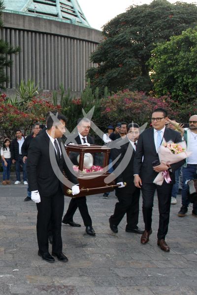 Las cenizas de Dulce ya en la Basílica