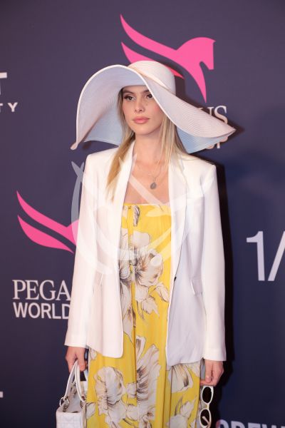 Lele Pons al Pegasus