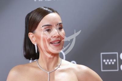 Ana de la Reguera en Premios Platino