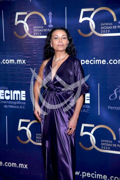 Dolores Heredia en Diosas de Plata