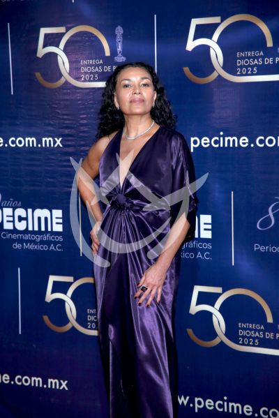Dolores Heredia en Diosas de Plata