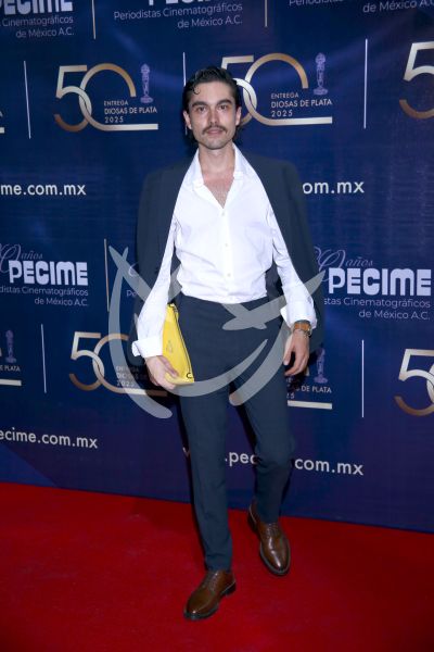 Sergio Mayer Mori en Diosas de Plata