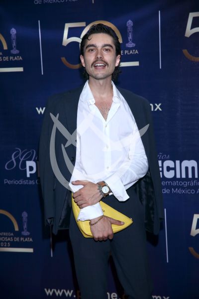Sergio Mayer Mori en Diosas de Plata