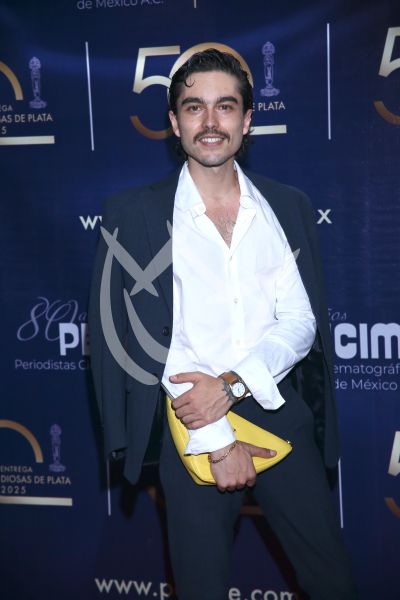 Sergio Mayer Mori en Diosas de Plata