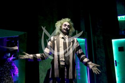 Tim Burton en su Laberinto
