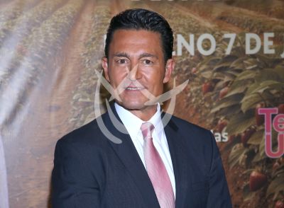 Fernando Colunga en Amanecer