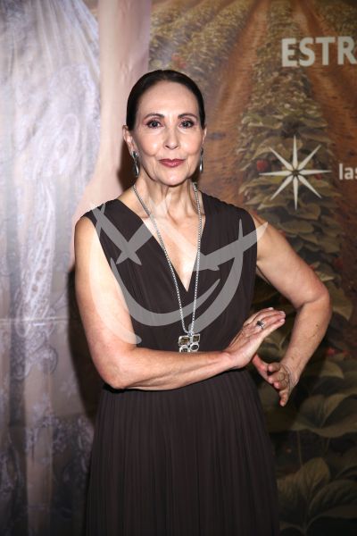 Blanca Guerra en Amanecer