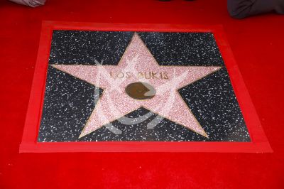 Los Bukis tienen Estrella