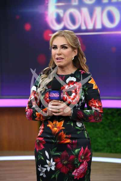 Rocío Sánchez Azuara comparte Tu Historia