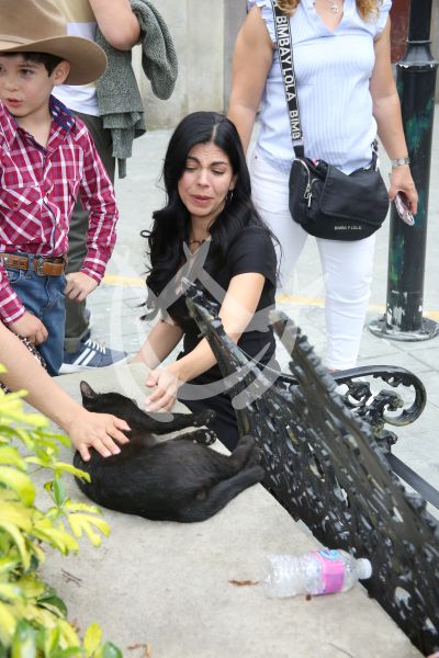 Africa Zavala hace ¡miau!