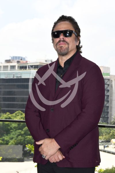 DiCaprio y Del Toro en Mx